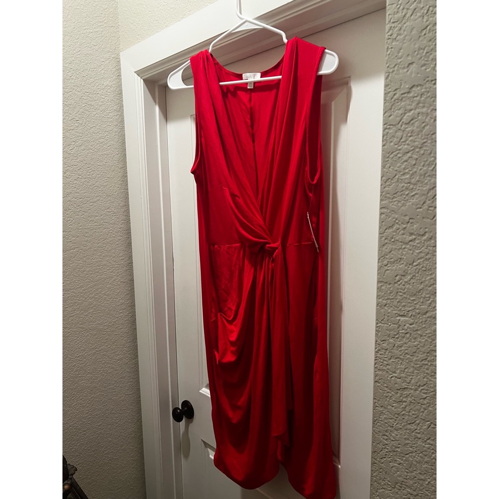 Abound Red Dress